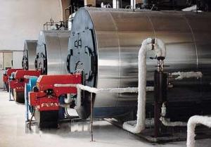 Quality 1T to 20T Industrial Steam Boilers , Horizontal Fire Tube Boiler Stainless Steel Package wholesale
