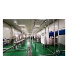 Turnkey Project Tomato Ketchup Production Line Customized Power