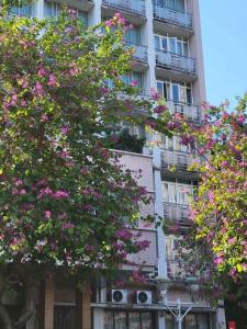 Quality Security Aluminum Casement Windows Wind Pressure Resistance Excellent wholesale