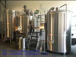 Beer Brewing Equipment Simple Operation/Mini Beer Machine/Provide Free Beer