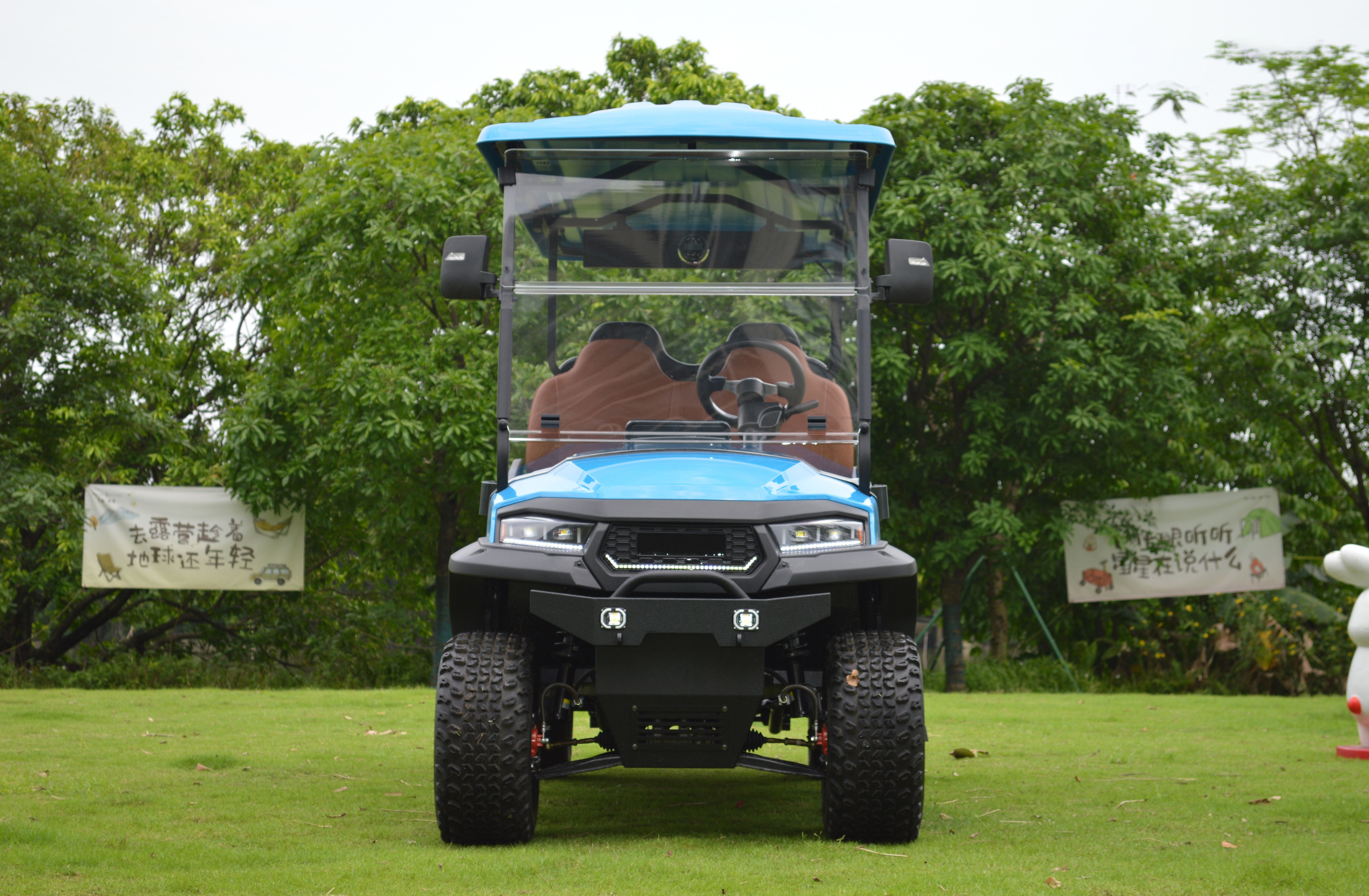2 4 6 Seat Lifted Electric Golf Cart with DOT EEC Certification and Long-lasting Lithium Battery
