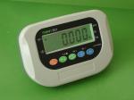 Electronic scale
