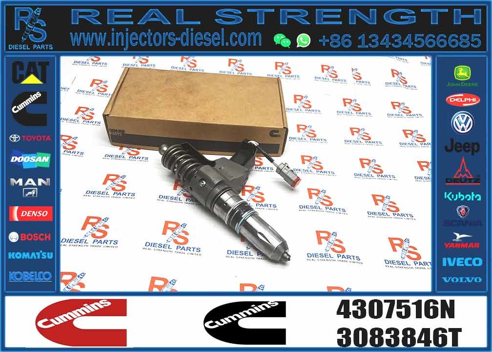 Fuel Injector 4307516N 3411767T 3407776 3087807 341176