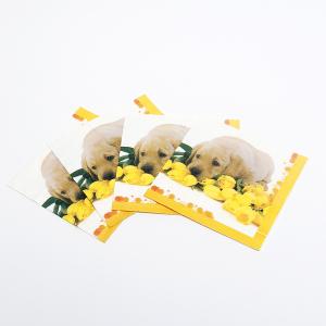 Quality Printed Personalised Paper Napkins Cocktail Dinner Serviettes 1/4 1/8 N wholesale