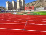 Weather Resistance EPDM Rubber Running Track Sports Floor 13mm Thickness
