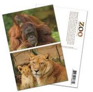 Quality PLASTIC LENTICULAR custom holographic postcards 3d hologram postcards animated flip lenticular postcard uk wholesale
