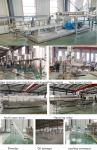 Ss 304 Dual Screw Pet Food Processing Line Automatic