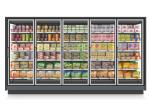 Large Display Remote Compressor Commercial Freezer Glass Door With Adjustable