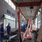 EN 1492-2 Heavy Lifting Slings Industrial Lifting Belt