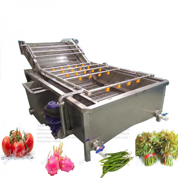 Cheap 300kg/H Vegetable Fruit Washer Bubble Washing Machine for sale
