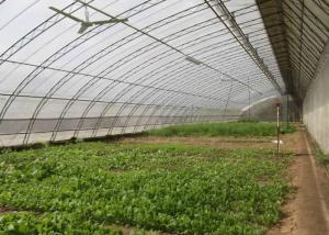 Quality Assembled Solar Greenhouse Steel Pipe Single Tunnel For Seeding / Planting wholesale