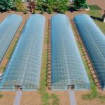 Commercial Greenhouse Single Span Tunnel Film Greenhouse with 30 Days Return