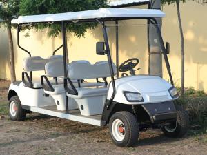 Quality Electric Steel Lithium Golf Cart Buggy 30 Mph 3.5KW 60V White Custom wholesale