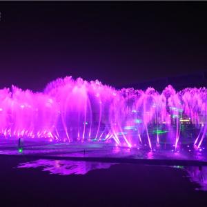 Quality Water feature eye-catching music floating fountain wholesale