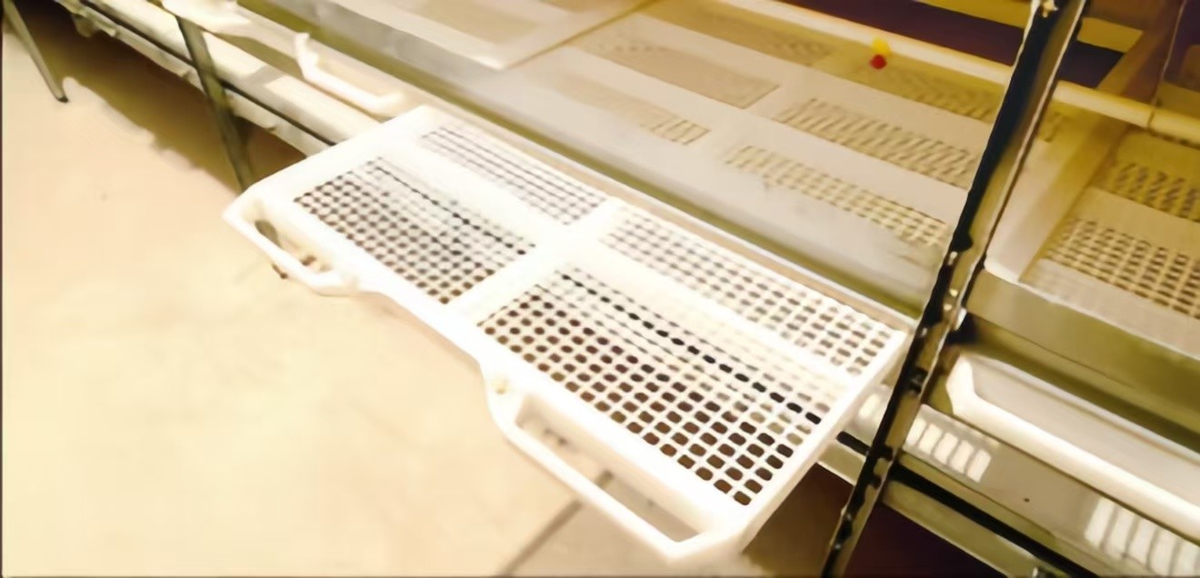 A Type Battery Layer Chicken Cage Automatic Chicken Poultry Farming Equipment