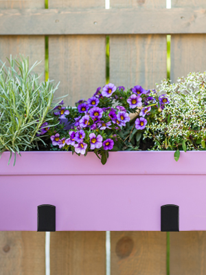 Easy Assembled Metal Iron Planter Box for Wall Planter Hooks and Flower Pot Bracket