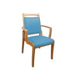 Sponge Cushion Luxury Modern Wood Dining Chairs Square For Hall Restaurant