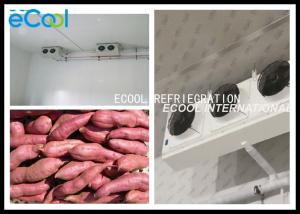 Quality Sweet Potato Cold Storage Of Fruits And Vegetables Humidity Control wholesale