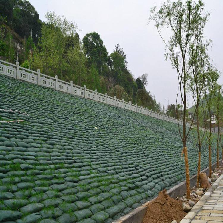 PP PET Non-Woven Fabric Geobag for Slope Protection and Greening Barren Mountain Mines