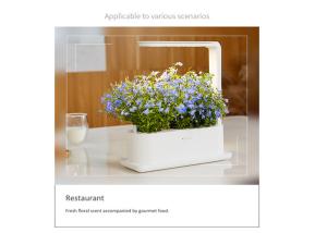 Quality PP LED Acid Resistance Home Hydroponic Growing System wholesale