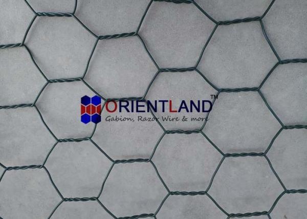 Flexible High Strength Wire Gabion Wall Baskets Revegetation PVC Coated Gabion