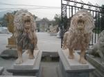 2m Life Size Roaring Large Lion Statue Outdoor Stone Carving Sculpture