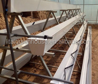 Industrial Greenhouse Hydroponic Vegetable Growing System with 11 liters Volume