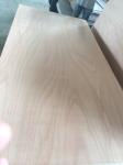 middle east market bintangor plywood high quality