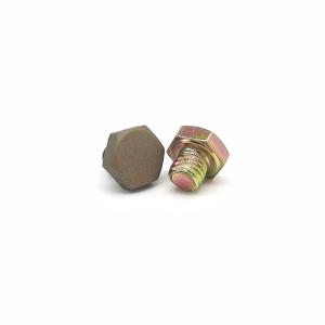Quality Customized Nail Hexagon Decorative Screw Strength Stainless Steel 304 wholesale