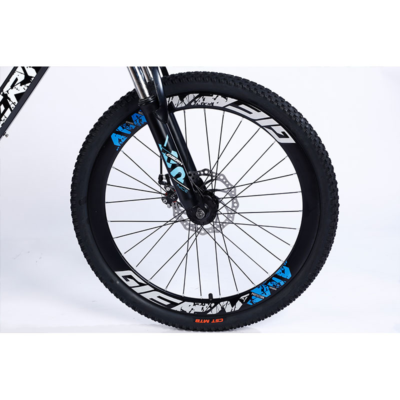 Affordable Mountain Bicycle with Sus Fokr Cp Crown and Tongli Michanical Disc Brake
