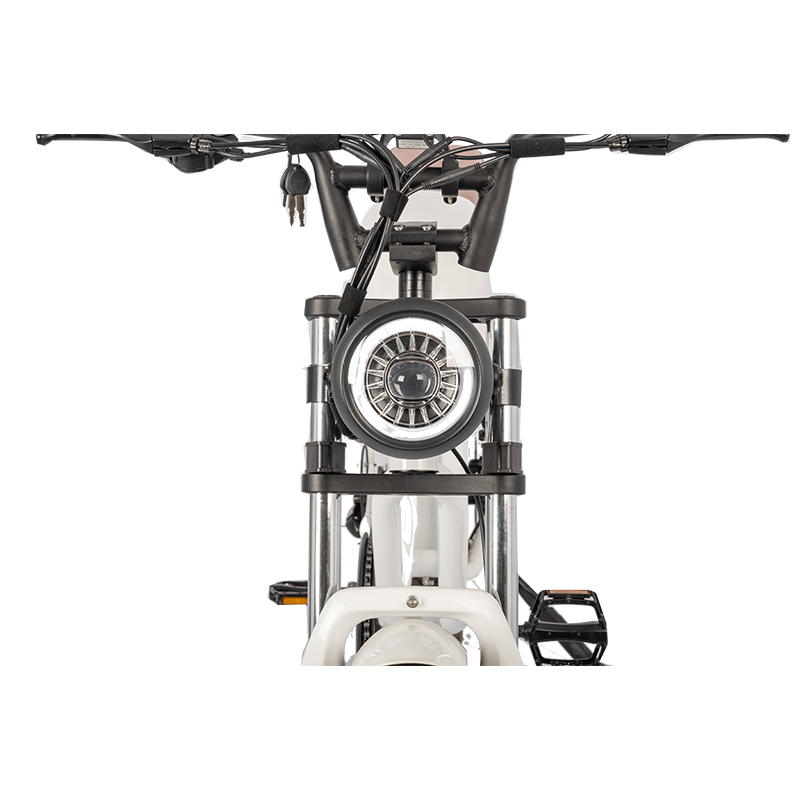 LCD Display Electric Bike with 48V Battery 750W 1000W Motor 7 Speed and Vintage Style