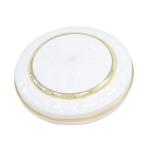 Remote Control Cooling Blade Ceiling Fan 12V Industrial Emergency Ceiling Fans