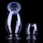 Glass hydroponic vase flowerpot transparent dinosaur egg green bamboo bamboo