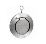 Single leaf door disc thin check valve