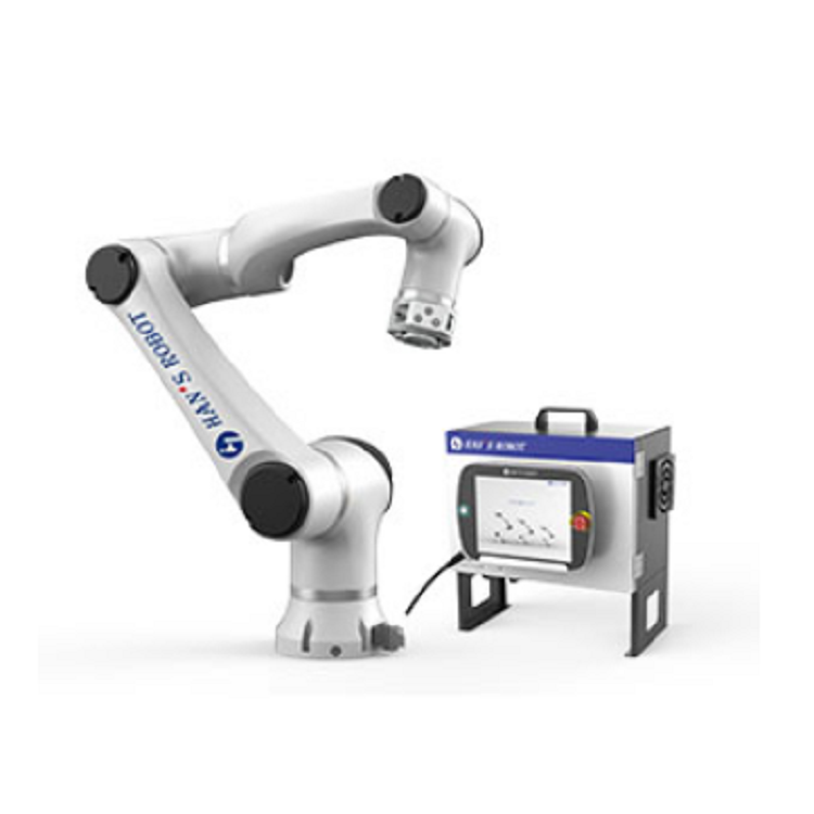 1000mm E10 6 Axis Automatic Painting Robot Arm 10KG