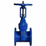 PN16 Rising Stem Soft Sealing Gate Valves ANSI 150LB 316 Stainless Steel Cast
