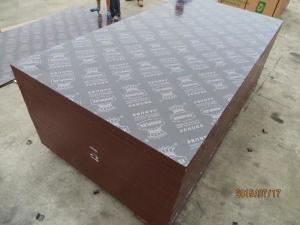 Quality China market wholesale phenolic board film faced plywood best selling products in philippines wholesale