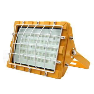 Quality AC85-265V IP66 Explosion Proof Lighting Fixtures Energy Efficiency wholesale
