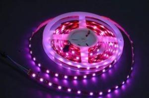 Quality Flexible LED Strip Lights 08 wholesale