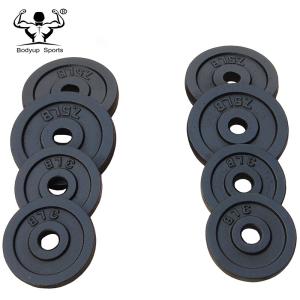Quality Adjustable Dumbbell Weight Plates , Black Paint Cast Iron Weight Plates wholesale
