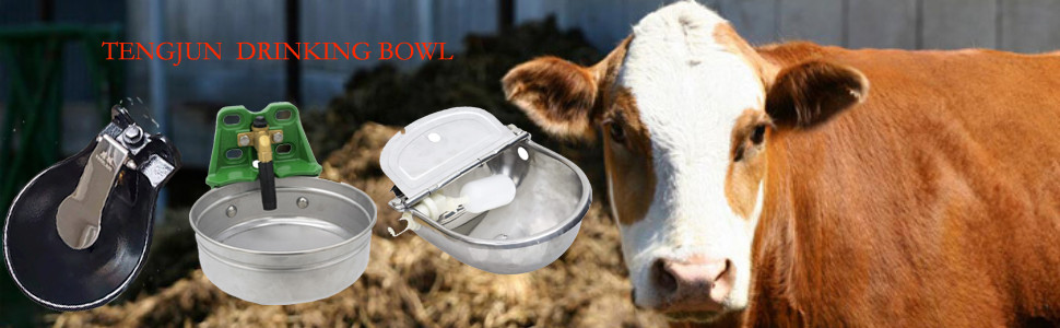 Coated Powder Sturdiness Cattle Cow Water Bowl Iron Enamel Surface