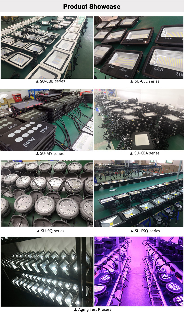 4KV IP66 LED Flood Lights 100W for Garden Park Courtyard SMD Chips White Aluminum Body