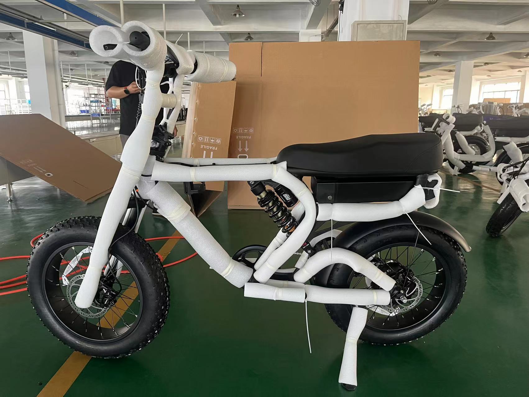 Aluminum Alloy 6061 Frame 2 Seat 500W 750W Off-road Step Through 20 inch Fat Tire Electric Bike Beach Bikes Cruisers