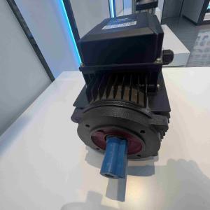 Quality High Voltage Three Phase Electric Motors 6KV High Efficient wholesale