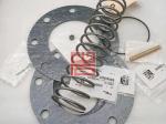 308EAY6013 100015593 Minimum Pressure Valve Repair Kit