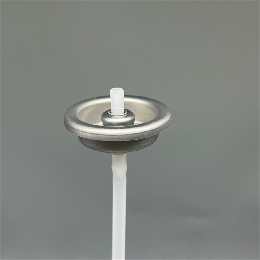Shoes Socks Cleaning Valve For Clean And Fresh Shoes And Socks