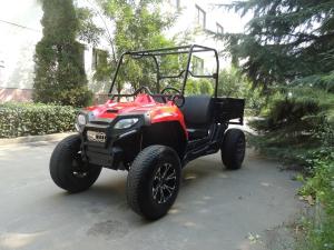 Quality Single Cylinder Gas Utility Vehicles 2X4 Driveline Type 250cc 4 Stroke wholesale