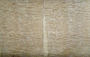 Quality Yellow Ash Burl Wood Veneer , 0.50 mm Thickness Natural Wood Veneer wholesale