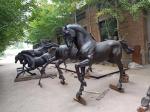 Garden bronze horse sculptures metal horse statues,casting bronze statues, China