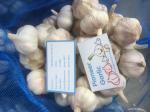 HIGH QUALITY CHINA FRESH GARLIC